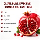 urolithin-a-supplement-with-liposomal-na-6.jpg