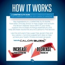 sirenlabs-l-carnitine-elite-burn-liquid--6.jpg