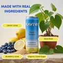 kaviva-kava-seltzer-relaxation-drink-50--4.jpg