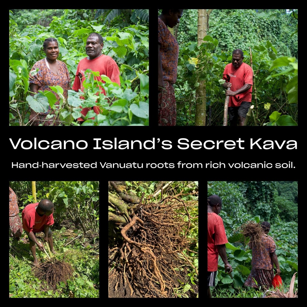kava-powder-noble-kava-kava-root-drink-v-5.jpg