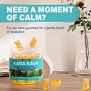nextdia-kava-kava-ashwagandha-tmg-supple-2.jpg