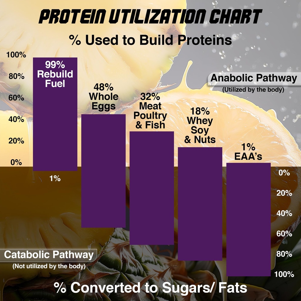 hnp-labs-rebuild-fuel-essential-amino-ac-4.jpg