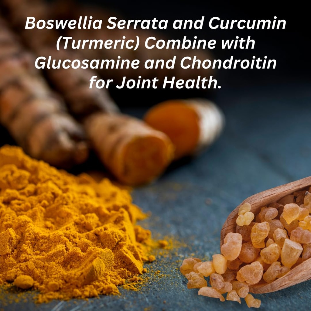 invigoflex-glucosamine-chondroitin-sulfa-5.jpg