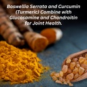 invigoflex-glucosamine-chondroitin-sulfa-5.jpg