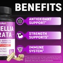 boswellia-capsules-with-boswellia-turmer-5.jpg