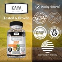 kaya-naturals-platinum-mobility-turmeric-4.jpg