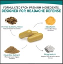 nature-s-nectar-migraine-prevention-feve-5.jpg