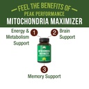 peak-performance-mitochondria-maximizer--2.jpg