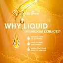 kiki-green-8-mushrooms-liquid-extract-dr-6.jpg