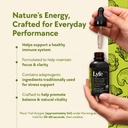 lyfe-functional-immunity-tincture-1-fl-o-2.jpg