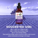 maryruth-organics-elderberry-syrup-extra-4.jpg