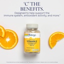 solaray-vitamin-c-1000mg-time-release-vi-3.jpg