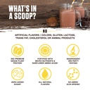ambrosia-plant-based-protein-powder-20g--4.jpg