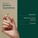 gaia-herbs-pro-quercetin-synergy-500-imm-4.jpg
