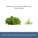 eclectic-herb-nettle-quercetin-capsules--6.jpg