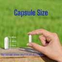 andrographic-paniculata-400-mg-120-capsu-6.jpg