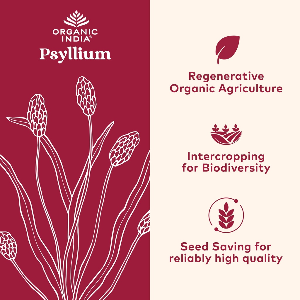 organic-india-psyllium-herbal-powder-who-2.jpg