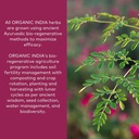 organic-india-triphala-herbal-supplement-2.jpg