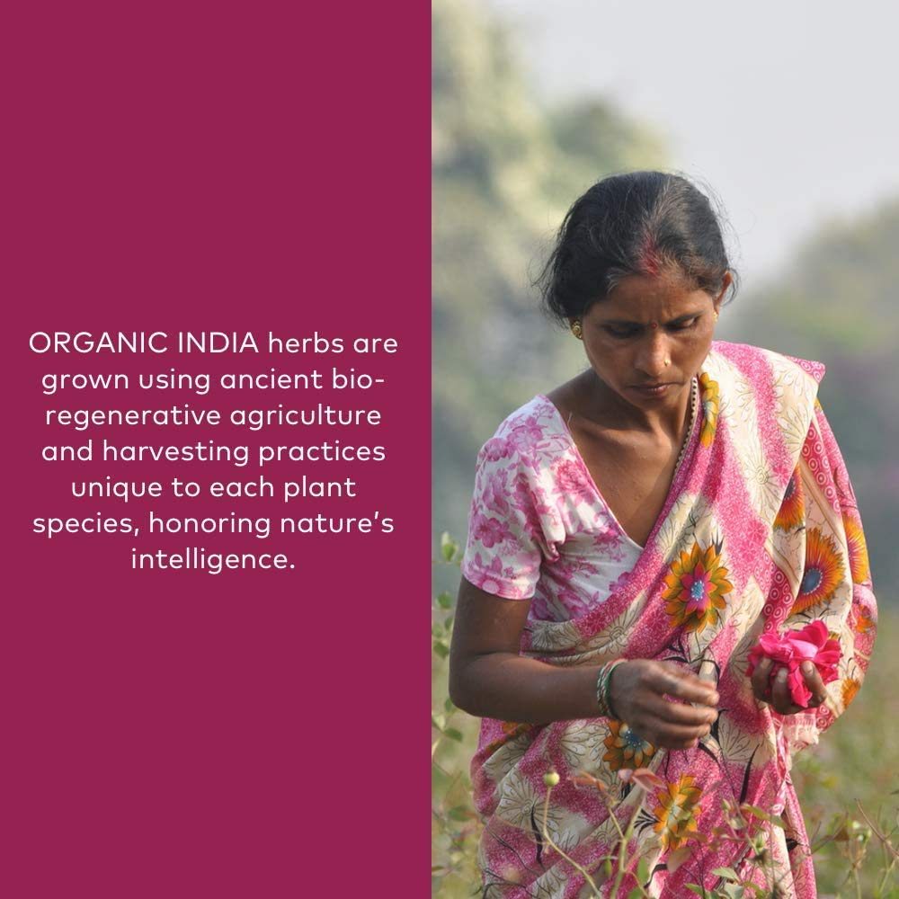 organic-india-triphala-herbal-supplement-3.jpg