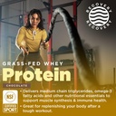 gnarly-nutrition-performance-greens-blue-2.jpg