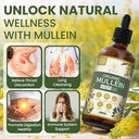 organic-mullein-drops-2-pack-for-lungs-c-2.jpg