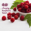 garden-of-life-organic-beet-root-gummies-6.jpg