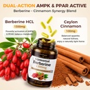 greenpeople-liposomal-berberine-suppleme-2.jpg
