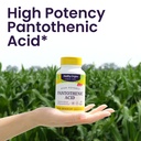 healthy-origins-premium-vitamin-b5-panto-4.jpg