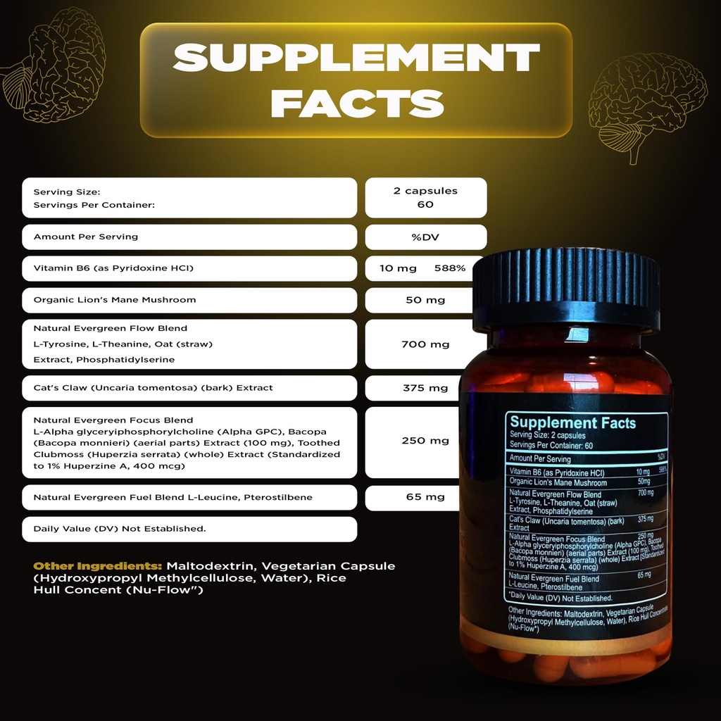 brain-supplements-for-memory-and-focus-n-5.jpg