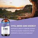 vimergy-usda-organic-zinc-supplements-fo-2.jpg