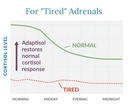 women-s-health-network-adaptisol-helps-n-5.jpg