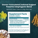 women-s-health-network-adaptisol-helps-n-4.jpg