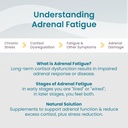 women-s-health-network-adaptisol-helps-n-6.jpg