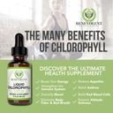 benevolent-chlorophyll-liquid-drops-iris-2.jpg