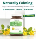 st-john-s-wort-capsules-powerful-potent--2.jpg