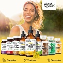 wild-organic-st-johns-wort-tincture-mood-5.jpg