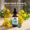 pure-mountain-botanicals-st-johns-wort-t-3.jpg