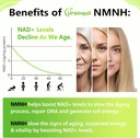 sublingual-nmnh-500mg-240-day-supply-500-2.jpg