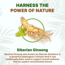go-nutra-siberian-ginseng-eleuthero-root-4.jpg
