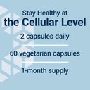 life-extension-geroprotect-stem-cell-pro-4.jpg