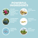 yes-you-can-natural-water-lipo-pills-diu-3.jpg