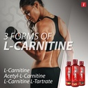isatori-l-carnitine-ls3-3000-liquid-l-ca-3.jpg