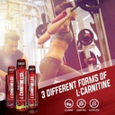 isatori-l-carnitine-ls3-mixed-berry-1500-2.jpg