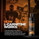 hosstile-liquid-l-carnitine-3-000-mg-pur-4.jpg