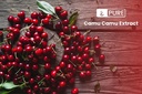 pure-original-ingredients-camu-camu-1lb--4.jpg