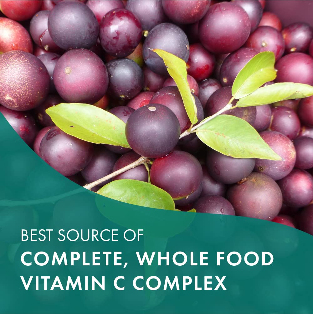 pure-essence-labs-whole-c-whole-food-vit-4.jpg