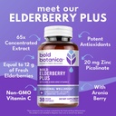 bold-botanica-elderberry-plus-65x-concen-2.jpg