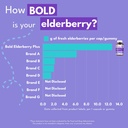 bold-botanica-elderberry-plus-65x-concen-6.jpg