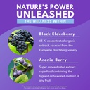 bold-botanica-elderberry-plus-65x-concen-5.jpg