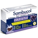 sambucol-cold-and-flu-capsules-24-ct-3.jpg
